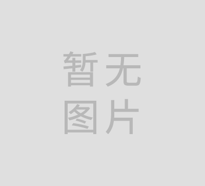 资料整理中...
